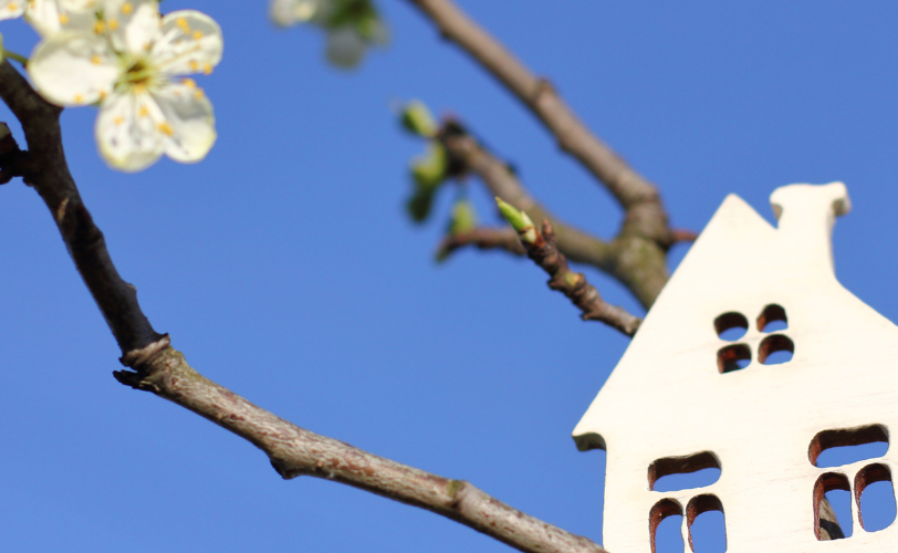 A small wooden house sitting on a branch of a tree.