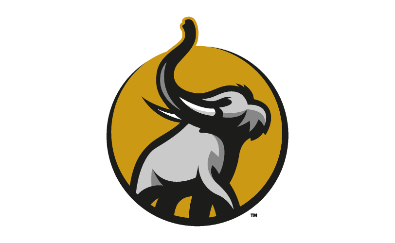 Purdue Fort Wayne mastodon mascot.