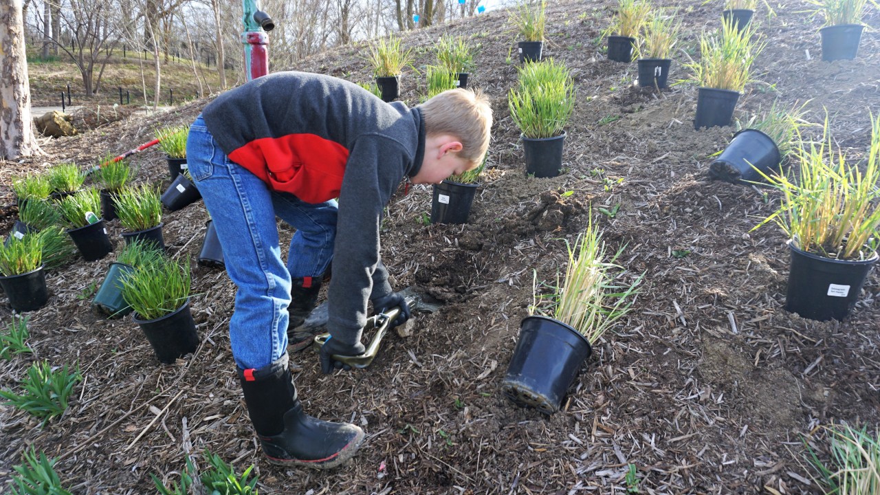 Young boy digging a hole in dirt for a plant on a hill.