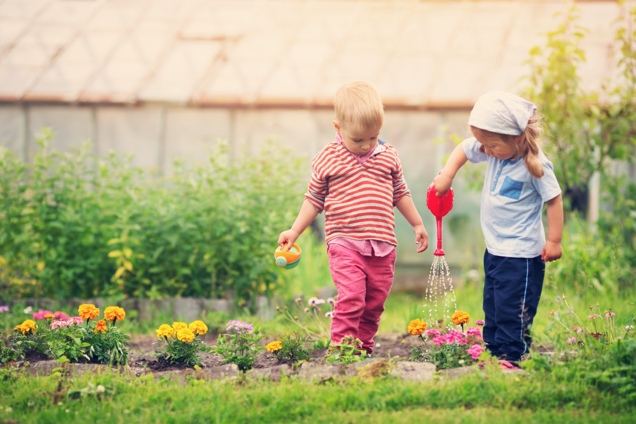Two children in a garden tipping a watering can over to hydrate flowers.