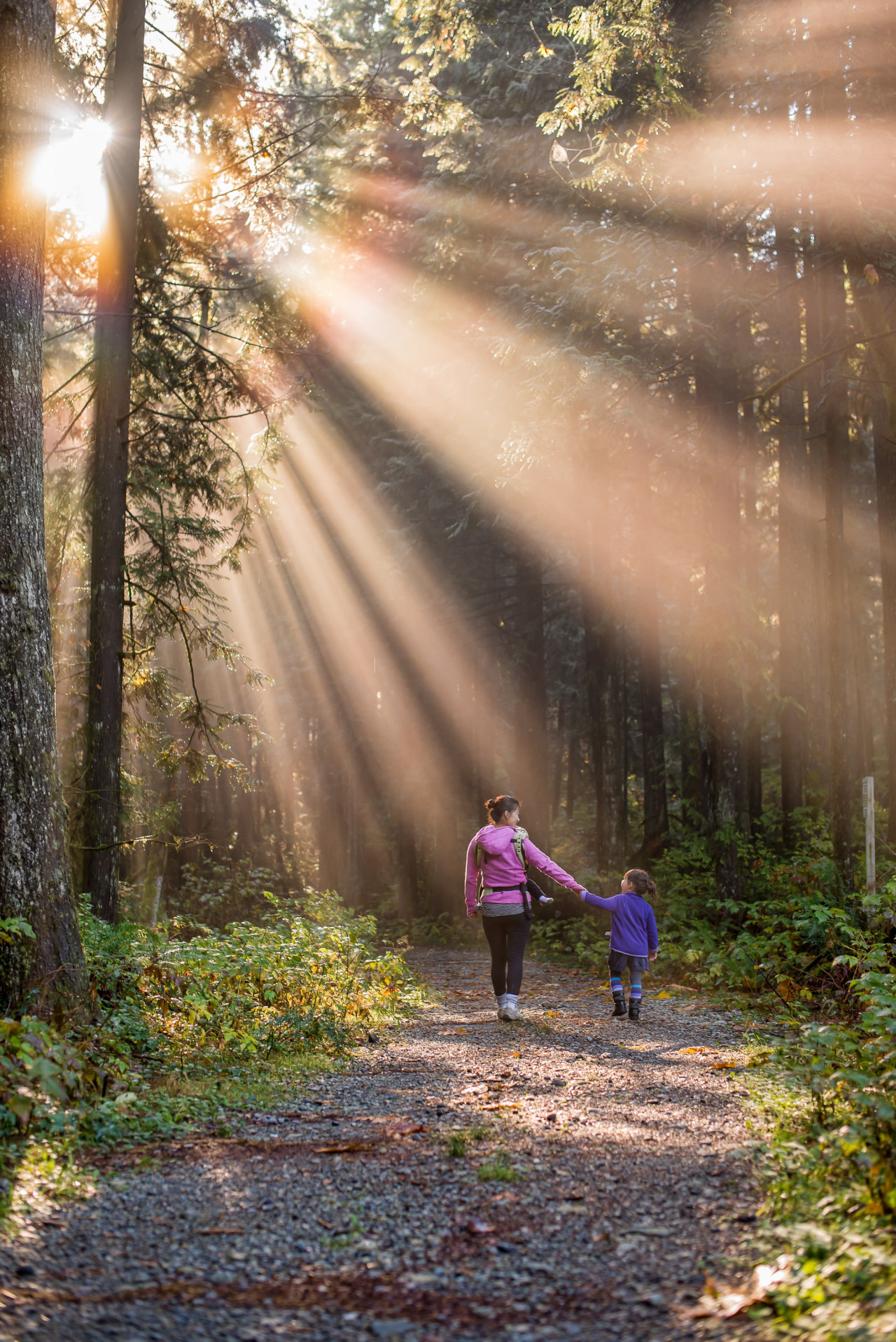 A woman and child walking through the trees.