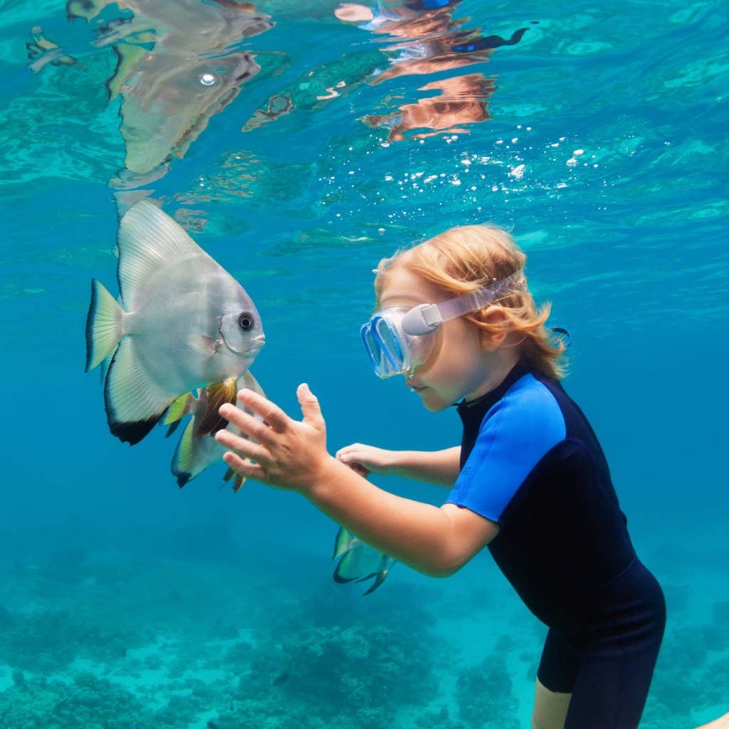 A child underwater touching a fish with a wetsuit and goggles on.
