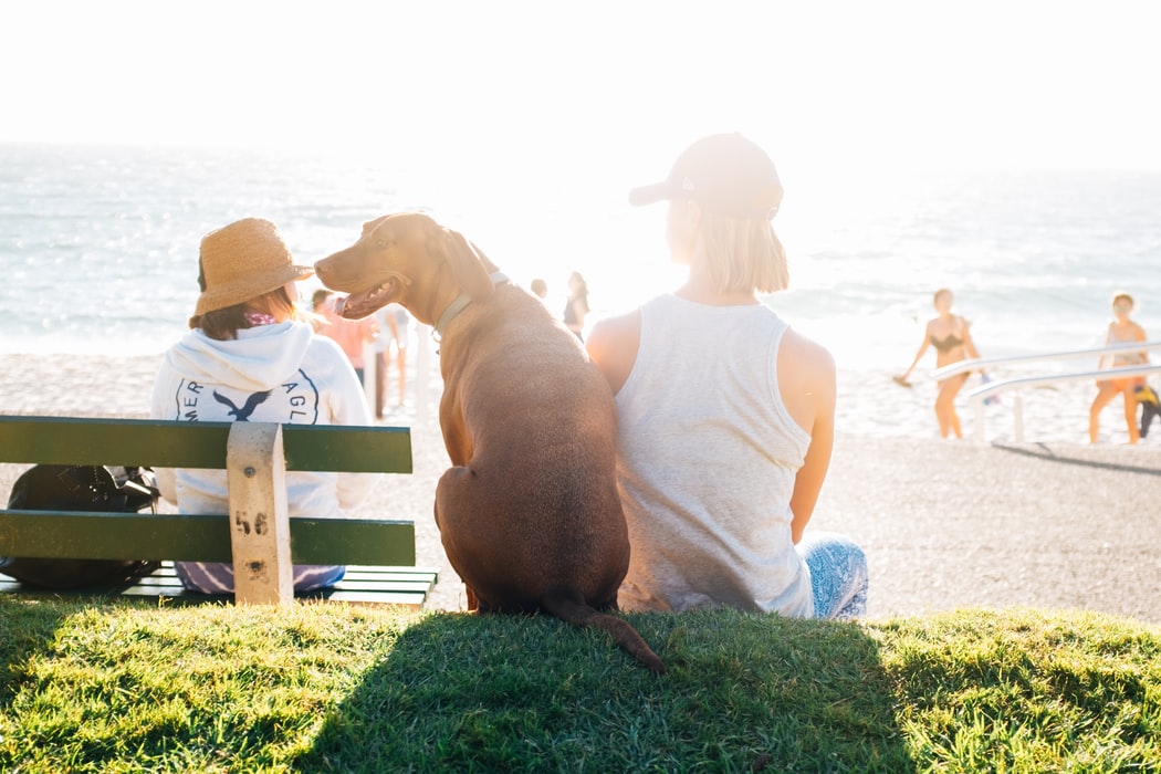 A woman sitting next to the water with her dog.